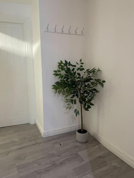 Modern 1-Bed Apartment Belfast Bagian luar foto