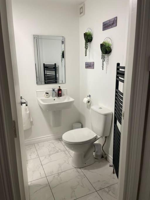 Modern 1-Bed Apartment Belfast Bagian luar foto